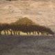 Trois horizons - McCall, Ann