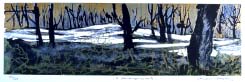 Le printemps invente - Bergeron, André