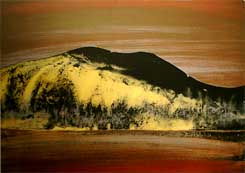 La resplendissante - Bergeron, André