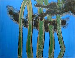 Sapin vert - Bergeron, André