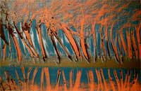 Gestes de branches (Hommage) - Bergeron, André