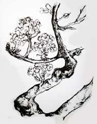 Prometteuses  (CC n&b) - Bergeron, André