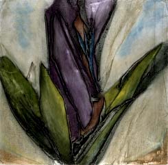Versicolore - Lacroix, Richard