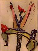 Floris XXIII - Lacroix, Richard