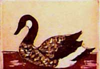 Bernache - Montoya, Claude