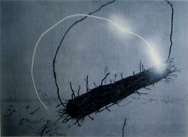 Luminous object I - Michalek, Ondrej