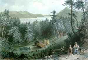 Davis's Clearing - Bartlett, W. H.