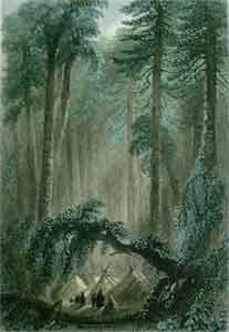 A Forest Scene - Bartlett, W. H.