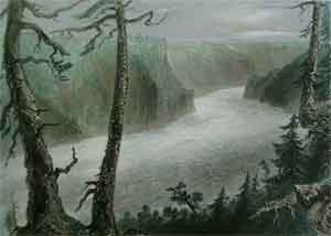 The bank of the River Niagara - Bartlett, W. H.