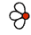 Floral (flowers)